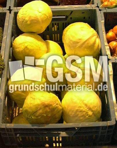 Weißkohl.jpg